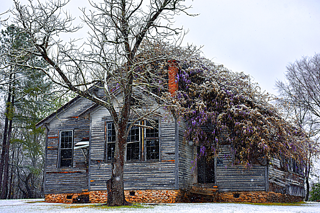 Wisteria House